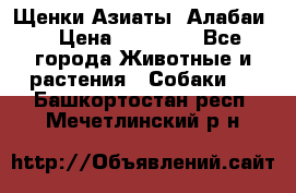 Щенки Азиаты (Алабаи) › Цена ­ 20 000 - Все города Животные и растения » Собаки   . Башкортостан респ.,Мечетлинский р-н